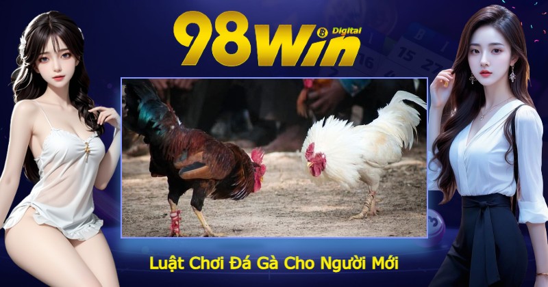 Luật Chơi Đá Gà Cho Người Mới